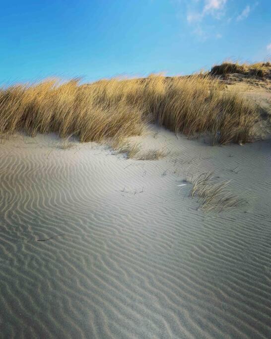 Chalet Meerblick Wattenmeer Westerland Экстерьер фото
